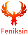 FeniksIN Problem Solvers